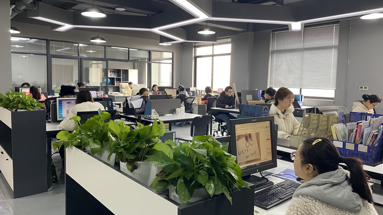 SKYWILL office